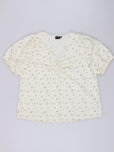 12880 Zizzi
