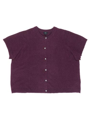 12825 Zizzi
