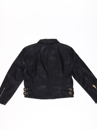 14795 (4) Only