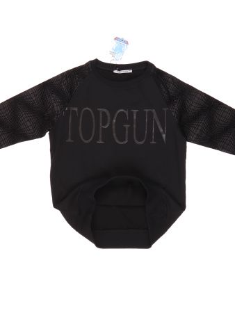 13397 (2) Top Gun