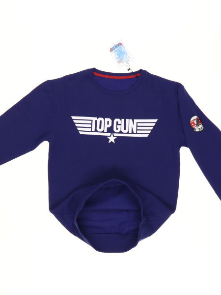 5790 (2)  Top Gun